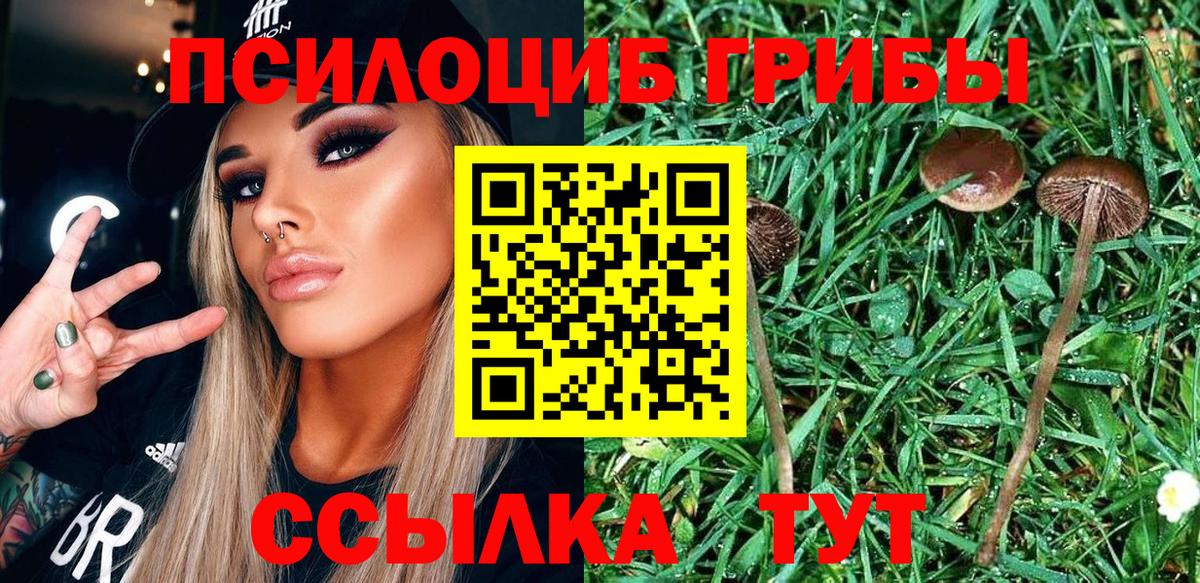 Галлюциногенные грибы Cubensis  Вход с VPN  Тольятти 