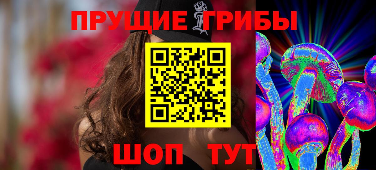 Псилоцибиновые грибы мицелий Тольятти